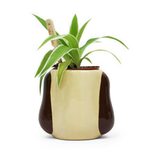 Load image into Gallery viewer, Gromit Plant Pot