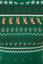 Load image into Gallery viewer, Vixey Jumper Green